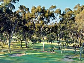 Tanunda Pines Golf Club - Kalgoorlie Accommodation 0