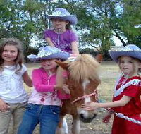 Amberainbow Pony Rides - Kalgoorlie Accommodation
