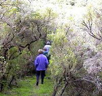 Jack And Hilda McArthur Walk - Kalgoorlie Accommodation