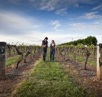 Coonawarra Wineries Walking Trail