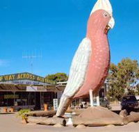 The Big Galah - Kalgoorlie Accommodation
