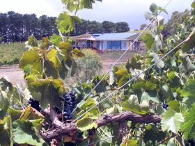 Zimmermann Wine - Kalgoorlie Accommodation 0