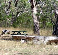 Penola Conservation Park - Kalgoorlie Accommodation