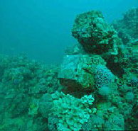 Adelaide's Underwater Heritage Trail