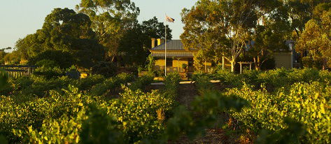 Greenock Creek Wines - Kalgoorlie Accommodation 2