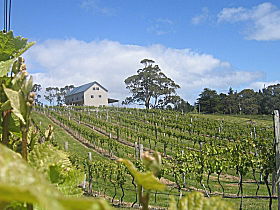 Bruny Island Premium Wines Bar And Grill - Kalgoorlie Accommodation 0