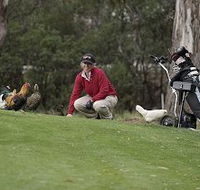 Tasmania Golf Club - The - Kalgoorlie Accommodation