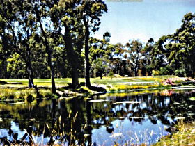 Alcomie TAS Kalgoorlie Accommodation