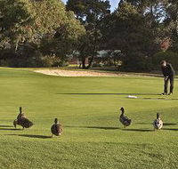 Royal Hobart Golf Club - Kalgoorlie Accommodation