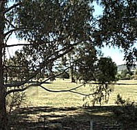 Cygnet Public Golf Course - Kalgoorlie Accommodation
