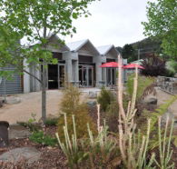 Tin Dragon Interpretation Centre and Cafe - Kalgoorlie Accommodation