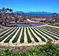 Kate's Berry Farm - Kalgoorlie Accommodation