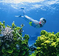 The Whale Dive Site - Kalgoorlie Accommodation