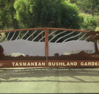 Tasmanian Bushland Garden