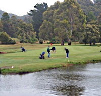 Penguin Golf Course - Kalgoorlie Accommodation