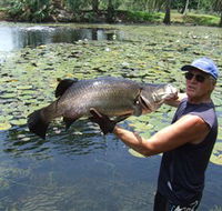 Barra Feeding - Kalgoorlie Accommodation