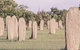 Magnetic Termite Mounds - thumb 0