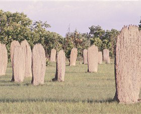 Magnetic Termite Mounds - Kalgoorlie Accommodation 0