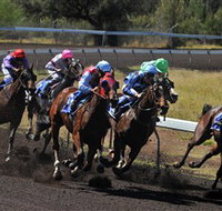 Alice Springs Turf Club - Kalgoorlie Accommodation