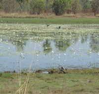 Leaning Tree Lagoon Nature Park - Kalgoorlie Accommodation