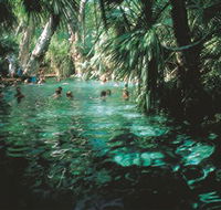 Mataranka Thermal Pool - Kalgoorlie Accommodation