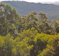 Conondale National Park - Kalgoorlie Accommodation