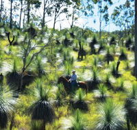 Bicentennial National Trail - Section 5 - Kalgoorlie Accommodation