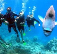 Magic Mountain Dive Site - Kalgoorlie Accommodation