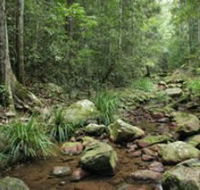 Amamoor State Forest - Kalgoorlie Accommodation