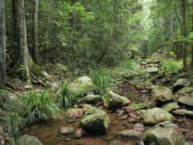 Amamoor State Forest - Kalgoorlie Accommodation 0