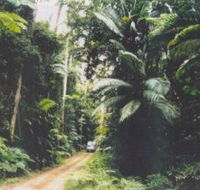 Conondale Great Walk - Kalgoorlie Accommodation