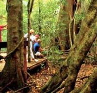 Mary Cairncross Scenic Reserve - Kalgoorlie Accommodation