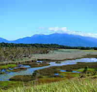 Eubenangee Swamp National Park