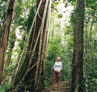 Wet Tropics - Kalgoorlie Accommodation