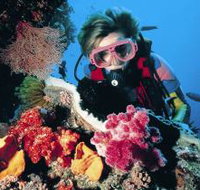 Osprey Reef - Kalgoorlie Accommodation