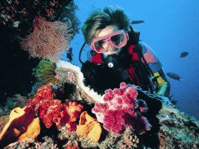 Osprey Reef - Kalgoorlie Accommodation 0