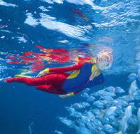 Pixie Pinnacle Dive Site - Kalgoorlie Accommodation