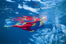 Pixie Pinnacle Dive Site - Kalgoorlie Accommodation 0