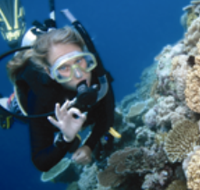 Moore Reef Dive Site - Kalgoorlie Accommodation