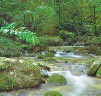 Mossman Gorge Daintree National Park - Kalgoorlie Accommodation