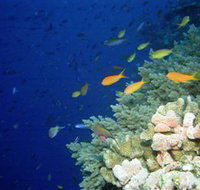 The Three Sisters Dive Site - Kalgoorlie Accommodation