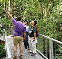 Daintree Discovery Centre - Kalgoorlie Accommodation