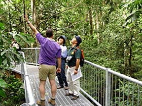 Daintree Discovery Centre - Kalgoorlie Accommodation 0