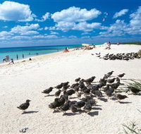 Michaelmas and Upolo Cays National Park - Kalgoorlie Accommodation