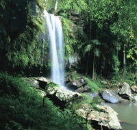 Curtis Falls Joalah Section