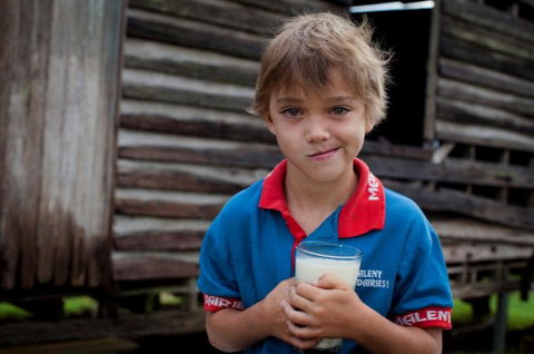 Maleny Dairies - Kalgoorlie Accommodation 2