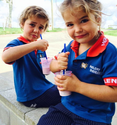 Maleny Dairies - Kalgoorlie Accommodation 3