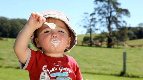 Maleny Dairies - Kalgoorlie Accommodation 5