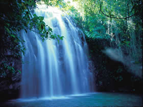 Millaa Millaa QLD Kalgoorlie Accommodation