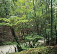 Fraser Island Great Walk - Kalgoorlie Accommodation